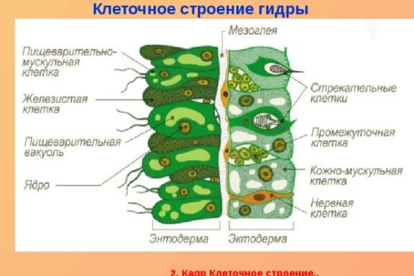 Кракен 17 точка ат